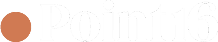 Point 16 logo
